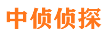 江南找人公司